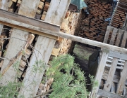 Holzheizer sparen Geld – „Holzlegger“ in Mieming sind ihrer Zeit voraus