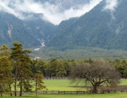 Holzheizer sparen Geld – „Holzlegger“ in Mieming sind ihrer Zeit voraus