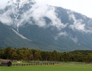 Holzheizer sparen Geld – „Holzlegger“ in Mieming sind ihrer Zeit voraus