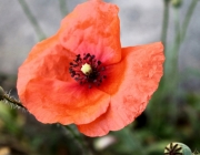 Spurensuche im Quellgebiet des Stöttlbachs
