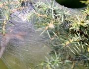 Spurensuche im Quellgebiet des Stöttlbachs