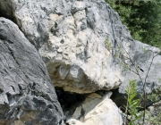 Spurensuche im Quellgebiet des Stöttlbachs