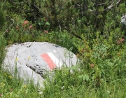 Spurensuche im Quellgebiet des Stöttlbachs
