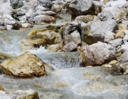 Spurensuche im Quellgebiet des Stöttlbachs