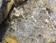 Spurensuche im Quellgebiet des Stöttlbachs