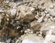 Spurensuche im Quellgebiet des Stöttlbachs