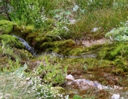 Spurensuche im Quellgebiet des Stöttlbachs