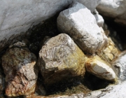 Spurensuche im Quellgebiet des Stöttlbachs