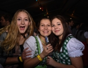 Jungbauernball Jänner 2017