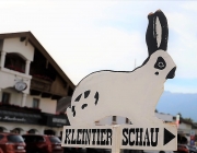 Kleintierschau des KTZV T22 Wildspitze im Gemeindesaal Mieming
