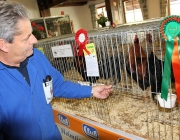 Kleintierzuchtverein „T 22 Wildspitze“ feierte 25-jähriges Jubiläum