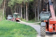 Ein Baum wird „Mai-Baum“ – Wir begleiten die stattliche Fichte zum Fest