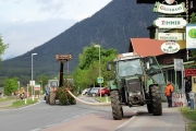 Ein Baum wird „Mai-Baum“ – Wir begleiten die stattliche Fichte zum Fest