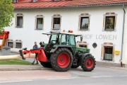 Ein Baum wird „Mai-Baum“ – Wir begleiten die stattliche Fichte zum Fest