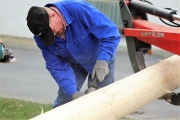 Ein Baum wird „Mai-Baum“ – Wir begleiten die stattliche Fichte zum Fest