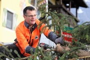 Ein Baum wird „Mai-Baum“ – Wir begleiten die stattliche Fichte zum Fest