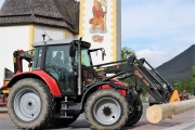 Ein Baum wird „Mai-Baum“ – Wir begleiten die stattliche Fichte zum Fest