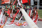 Ein Baum wird „Mai-Baum“ – Wir begleiten die stattliche Fichte zum Fest