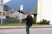 Ein Baum wird „Mai-Baum“ – Wir begleiten die stattliche Fichte zum Fest