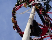 Der Maibaum 2017 In Barwies