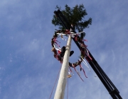 Der Maibaum 2017 In Barwies