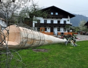 Maifest 2013 - Anschlag auf den Mieminger Maibaum