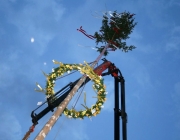 Maibaumaufstellen 2010 in Obermieming
