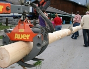 Maibaumaufstellen 2010 in Obermieming