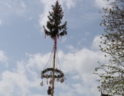 Maifest 2013 – „Maibaum-Anschlag konnte das Fest nicht verhindern“