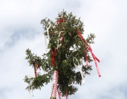 Maifest 2013 – „Maibaum-Anschlag konnte das Fest nicht verhindern“