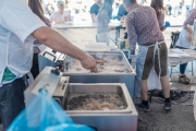 1_maifest_19_2048px-65