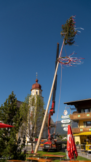 DSC01340