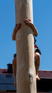 DSC01462