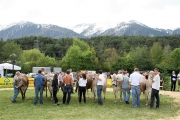 Maifest und 6. Braunviehschau 2011 am Badesee in Mieming