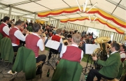Maifest und 6. Braunviehschau 2011 am Badesee in Mieming