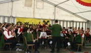 Maifest und 6. Braunviehschau 2011 am Badesee in Mieming