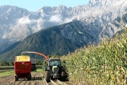 Mais ernten und Häckseln – „Das ist eine Adrenalin-Sache“