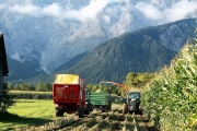 Mais ernten und Häckseln – „Das ist eine Adrenalin-Sache“