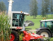 Maisernte am Bauernhof Post in Obermieming