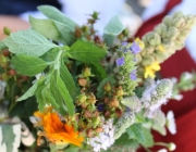 Mariä Himmelfahrt und Kräuterweihe – „Der schönste Tag des Sommers 2012“