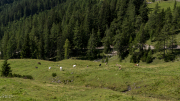 DSC01290