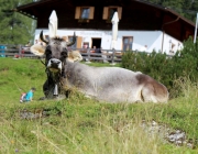 Marienberg-Alm – Bergmesse und Bergfest