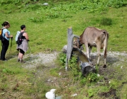 Marienberg-Alm – Bergmesse und Bergfest