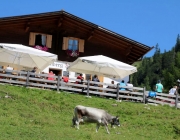 Almmesse auf der Marienberg Alm im August 2015