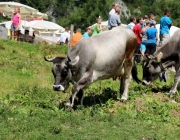 Almmesse auf der Marienberg Alm im August 2015