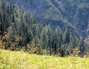 Almmesse auf der Marienberg Alm im August 2015