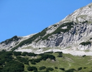 Almmesse auf der Marienberg Alm im August 2015