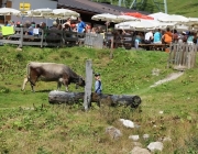 Almmesse auf der Marienberg Alm im August 2015