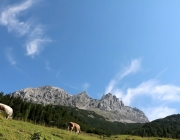 Almmesse auf der Marienberg Alm im August 2015