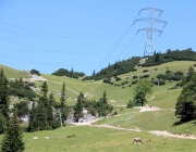 Almmesse auf der Marienberg Alm im August 2015